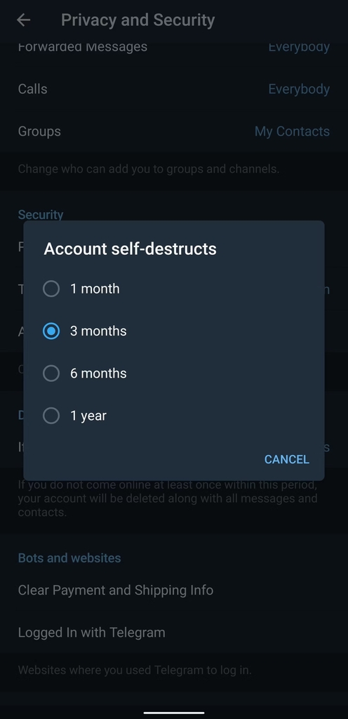 Automatically Delete Your Account After Losing Access 2